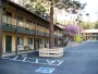 Building 1