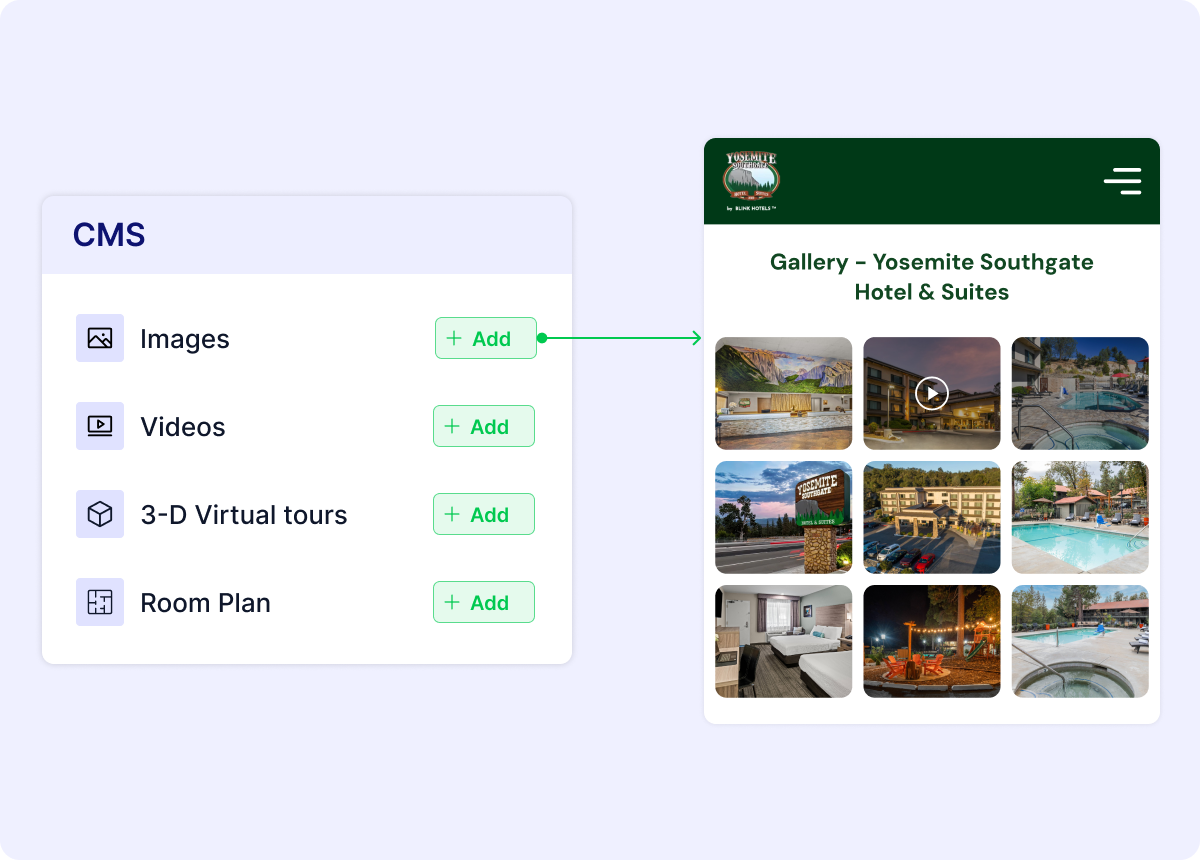 Content Management System and Rich Media