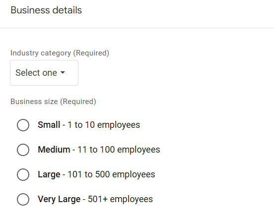 GA4 Business Details